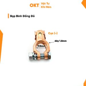 BỌP BÌNH ĐỒNG ĐỎ 17 (7)