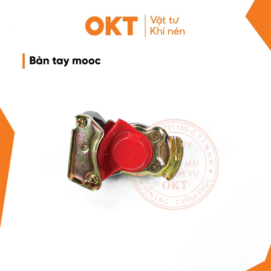 BÀN-TAY-MOOC2