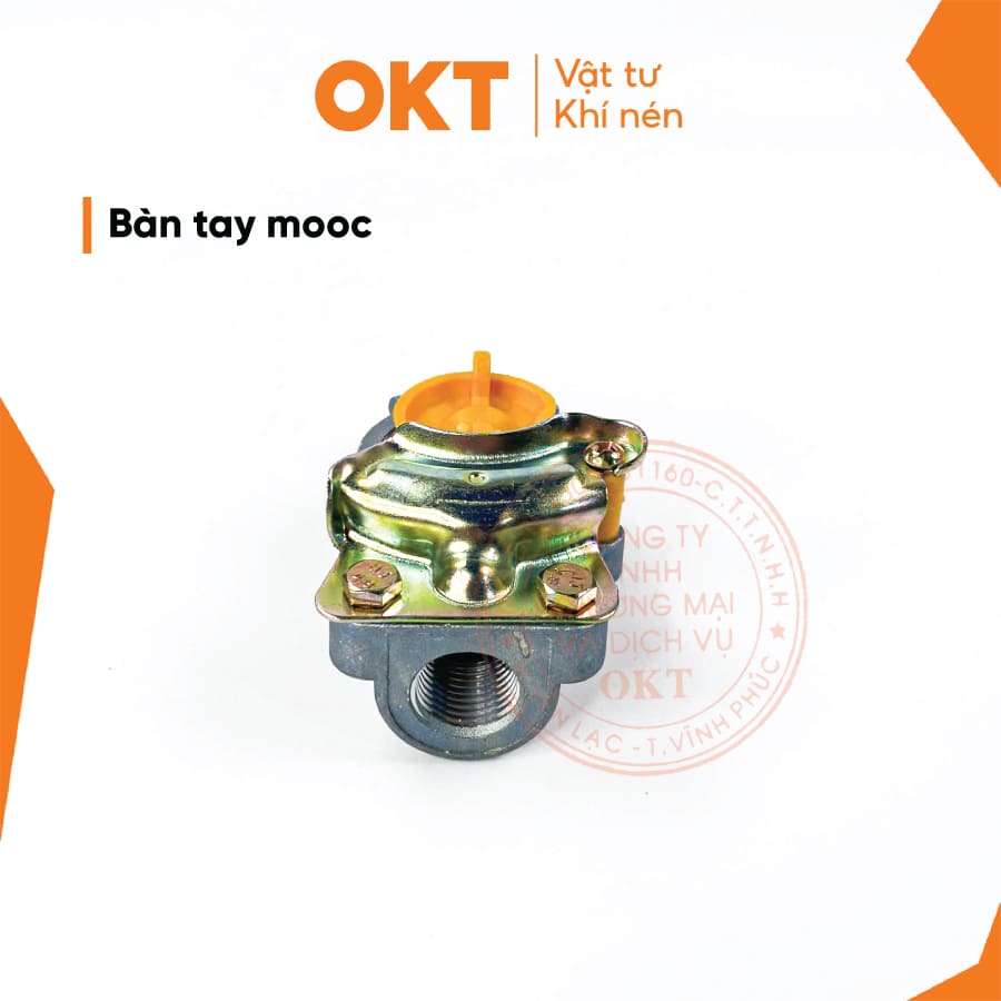 BÀN-TAY-MOOC4