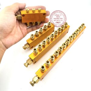 BỘ CHIA DẦU 2-12(4)