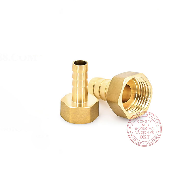 nối đồng đuôi chuột ren trong 8 copy